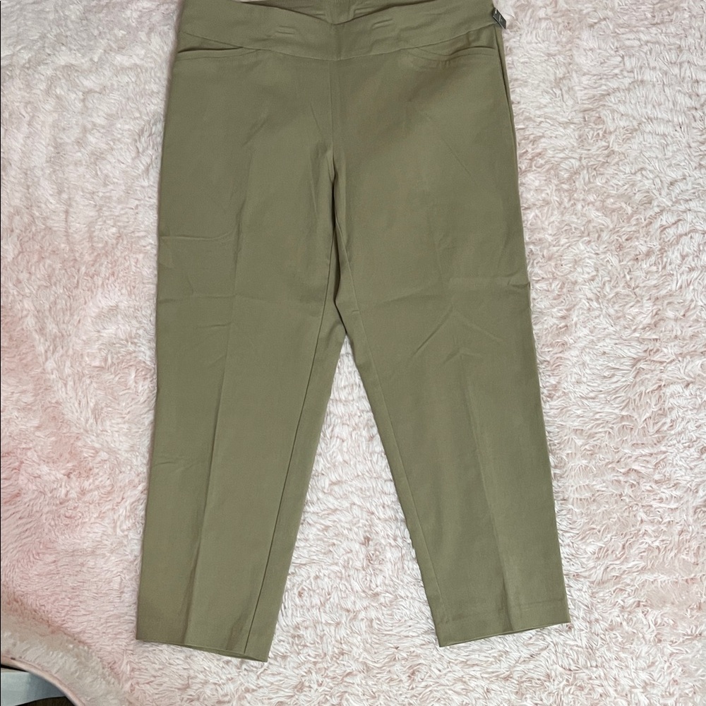 Terra & Sky Olive Ankle Pants